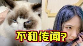 娱乐圈巨雕,揭秘明星背后的神秘故事