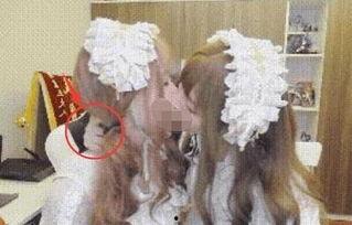 双性恋女主播视频,揭秘她跨越性别的魅力与情感世界