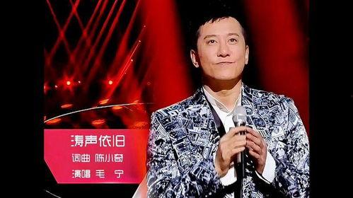 毛宁涛声依旧背景